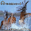 Aswad - Rise and Shine