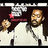 Beenie Man - Concept of Life