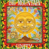 Big Mountain - Unity