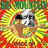 Big Mountain - Free Up