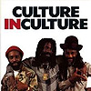 Culture - Culture In Culture