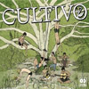 Cultivo - Orgânico