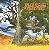Groundation - Young Tree