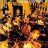 Israel Vibration - IV