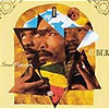 Israel Vibration - IV Dub