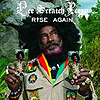 Lee "Scratch" Perry - Rise Again