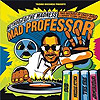 Mad Professor - Method To The Madness
