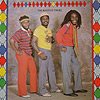 Mighty Diamonds - The Roots is There