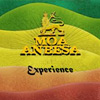 Moa Anbesa - Experience