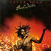 Peter Tosh - Bush Doctor
