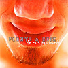 Planta e Raiz - De Cara pro Mundo