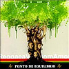 Ponto de Equilíbrio - Reggae a Vida com Amor