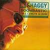 Shaggy - Boombastic