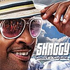 Shaggy - Summer in Kingston