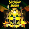 Shaggy - Out of Many, One Music