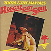 Toots and The Maytals - Reggae Got Soul