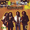 Wailing Souls - Most Wanted