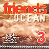 Walking Lions - Friends of the Ocean