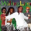 Walking Lions - Reggae Ecológico