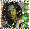 Ziggy Marley - Conscious Party
