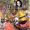 Ziggy Marley - One Bright Day