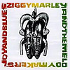 Ziggy Marley - Joy and Blues