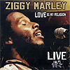 Ziggy Marley - Love is My Religion Live
