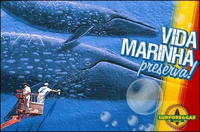 NATUREZA: Seminário em Santos aborda a preservação da vida marinha! Saiba tudo no Surforeggae!