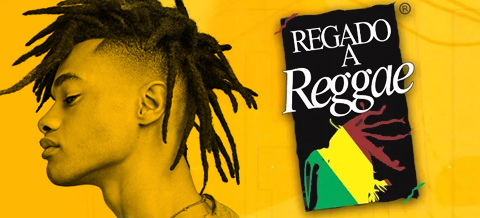 REGADO A REGGAE! Confira as atrações nacionais e internacionais do festival!